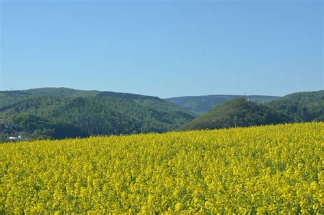 LE 10 MIGLIORI attività romantiche per coppie a Abruzzo